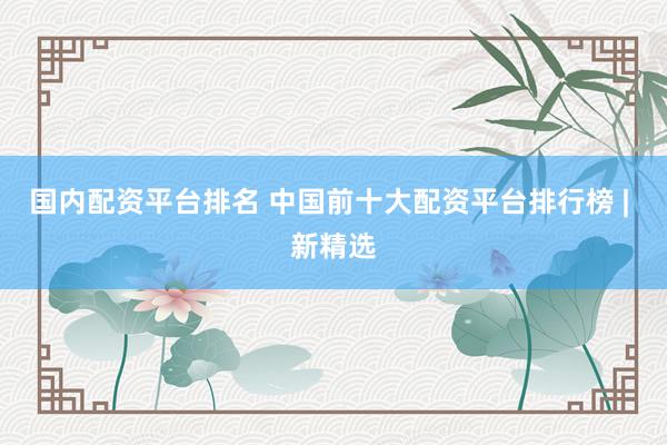 国内配资平台排名 中国前十大配资平台排行榜 | 新精选