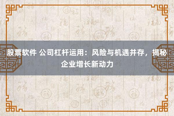 股票软件 公司杠杆运用：风险与机遇并存，揭秘企业增长新动力