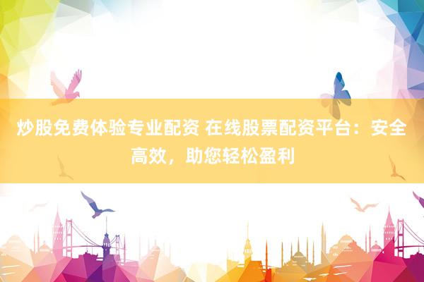 炒股免费体验专业配资 在线股票配资平台：安全高效，助您轻松盈利