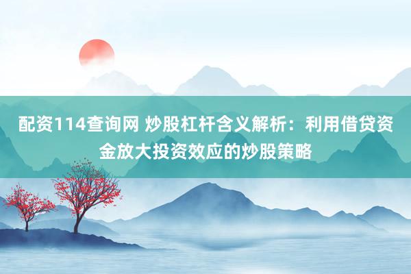 配资114查询网 炒股杠杆含义解析：利用借贷资金放大投资效应的炒股策略