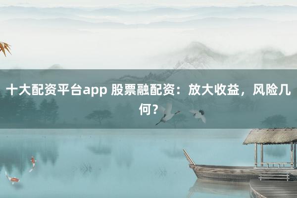 十大配资平台app 股票融配资:放大收益,风险几何?
