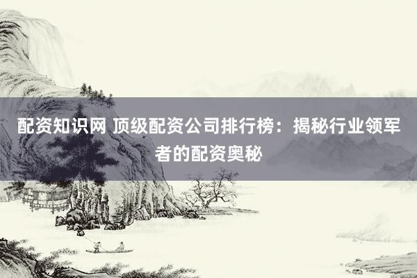 配资知识网 顶级配资公司排行榜：揭秘行业领军者的配资奥秘