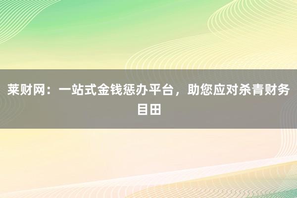 莱财网：一站式金钱惩办平台，助您应对杀青财务目田